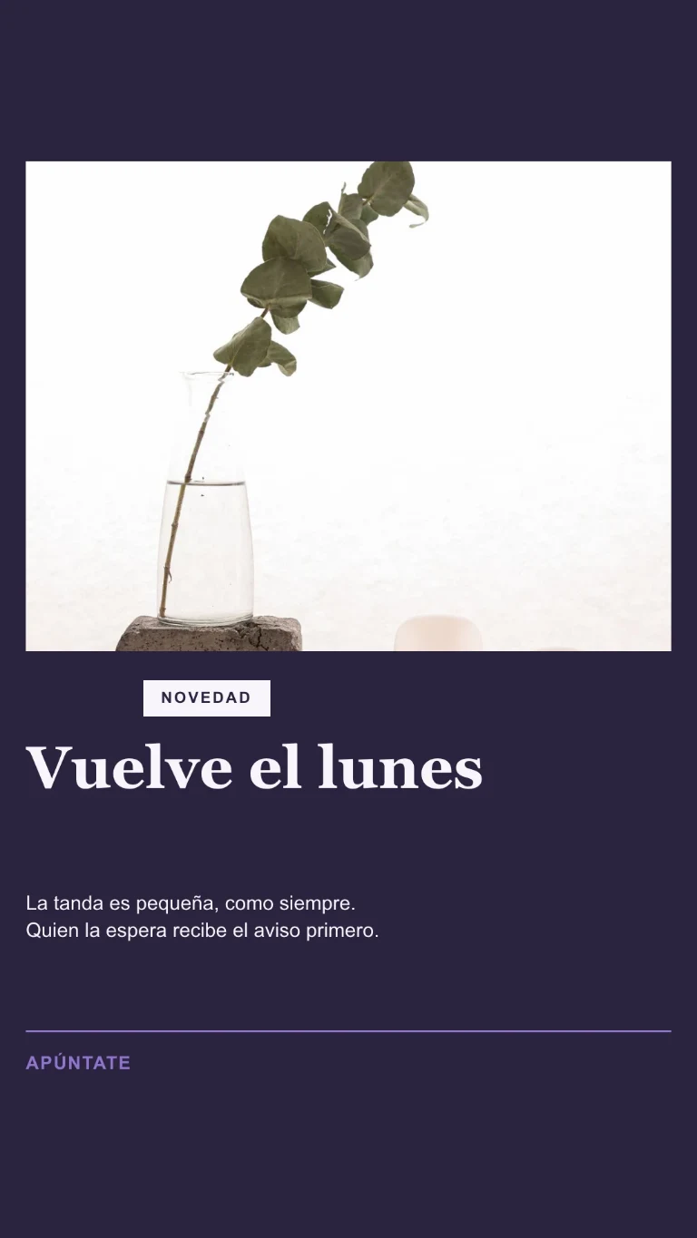 Story vertical sobre una reposición de stock, con invitación a la lista de espera