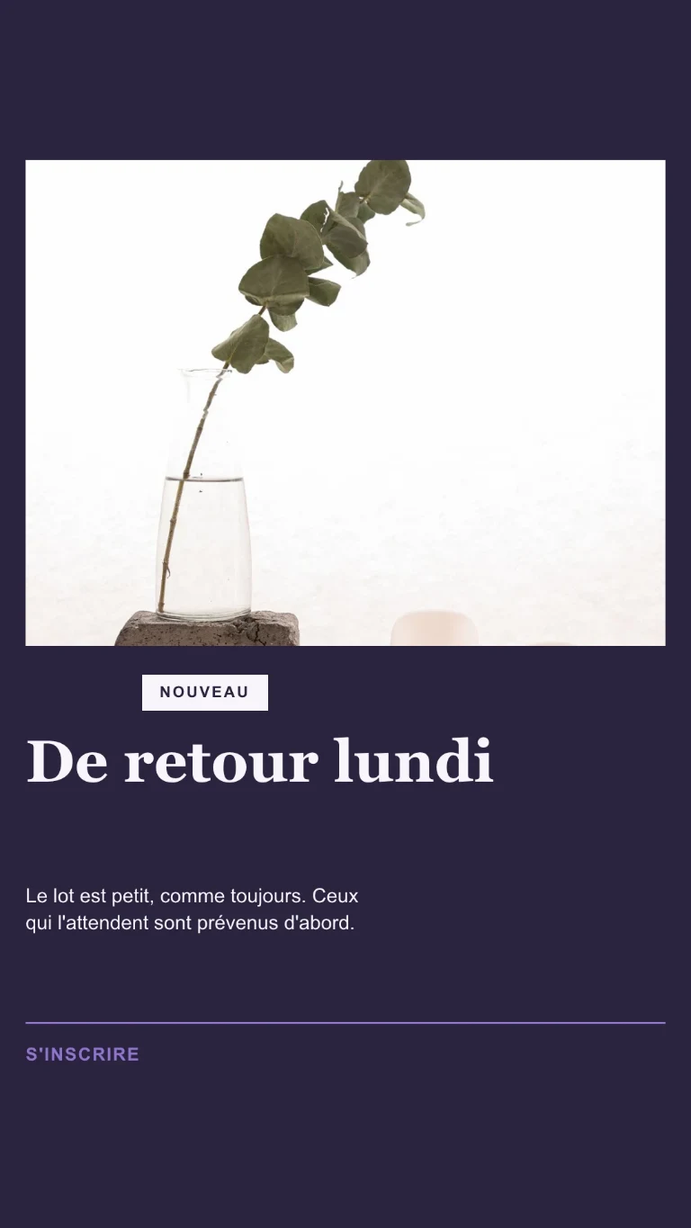 Story verticale sur un réassort, avec invitation à rejoindre la liste d’attente