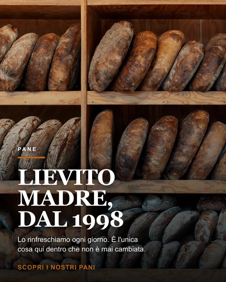 Post sul lievito madre e i pani della casa