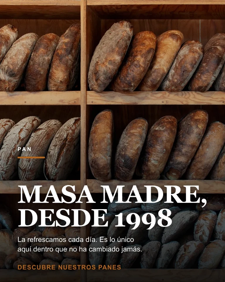 Post sobre la masa madre y los panes de la casa