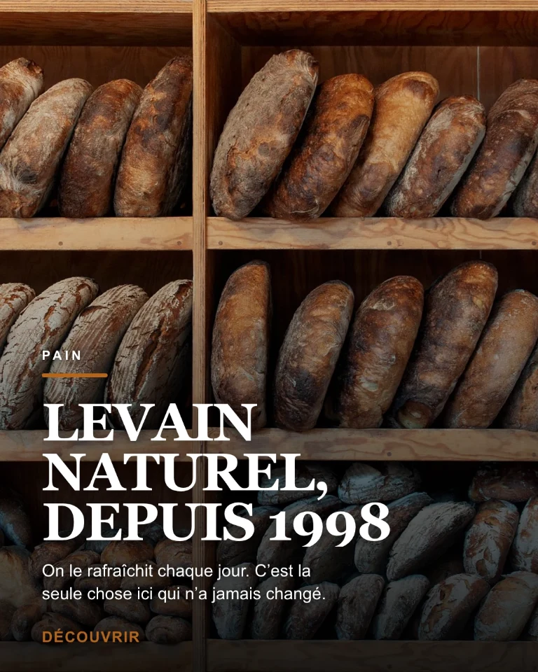 Post sur le levain naturel et les pains de la maison